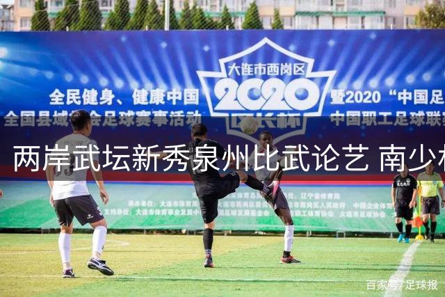 两岸武坛新秀泉州比武论艺 南少林故里演绎血脉相连