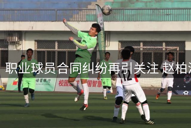 职业球员合同纠纷再引关注 赵柏清签约风波后现身野球场
