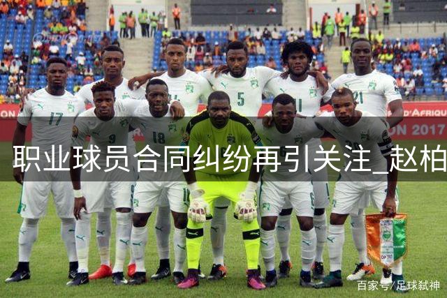 职业球员合同纠纷再引关注 赵柏清签约风波后现身野球场